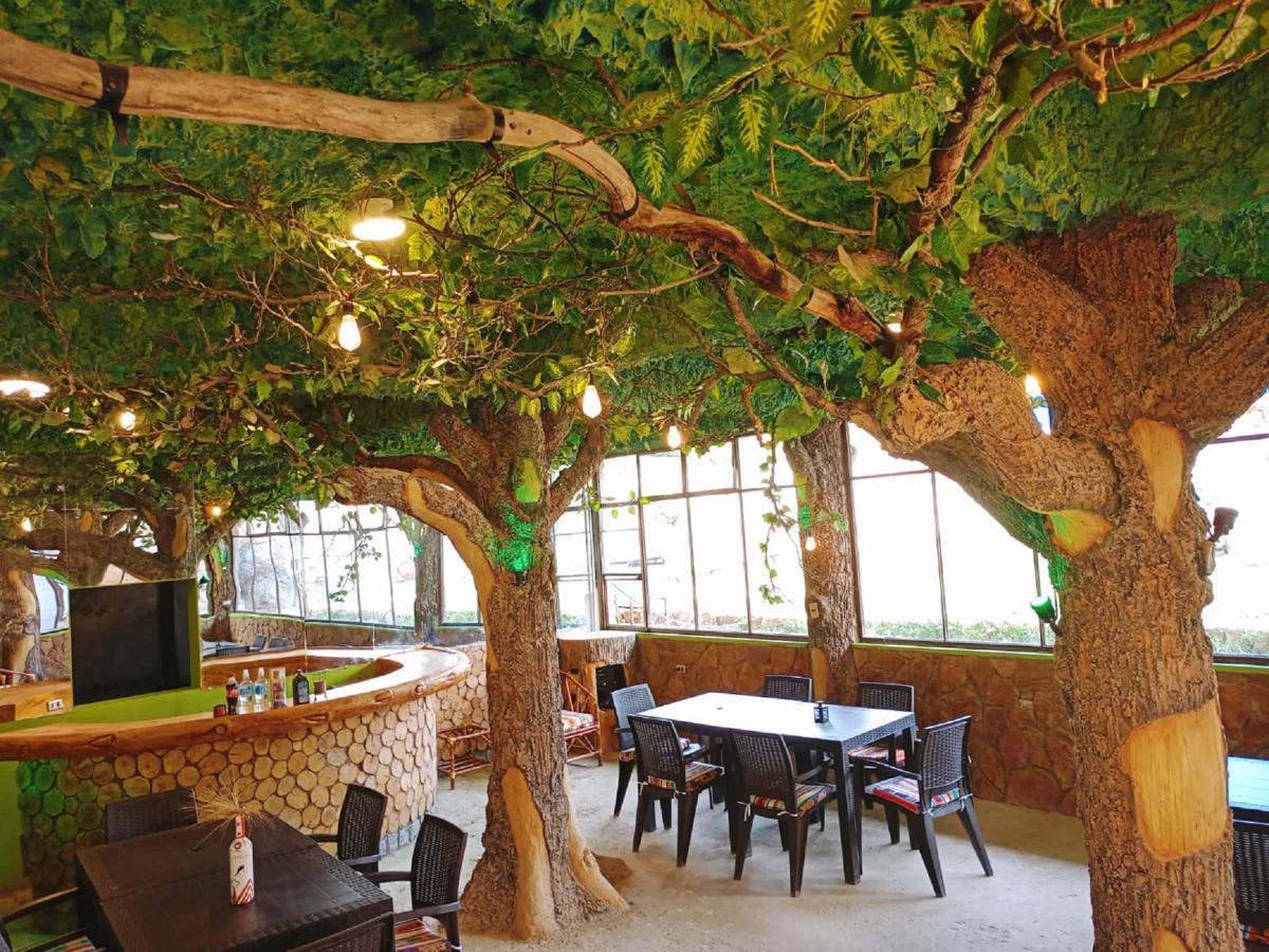 Hostal Toro Toro photo 3