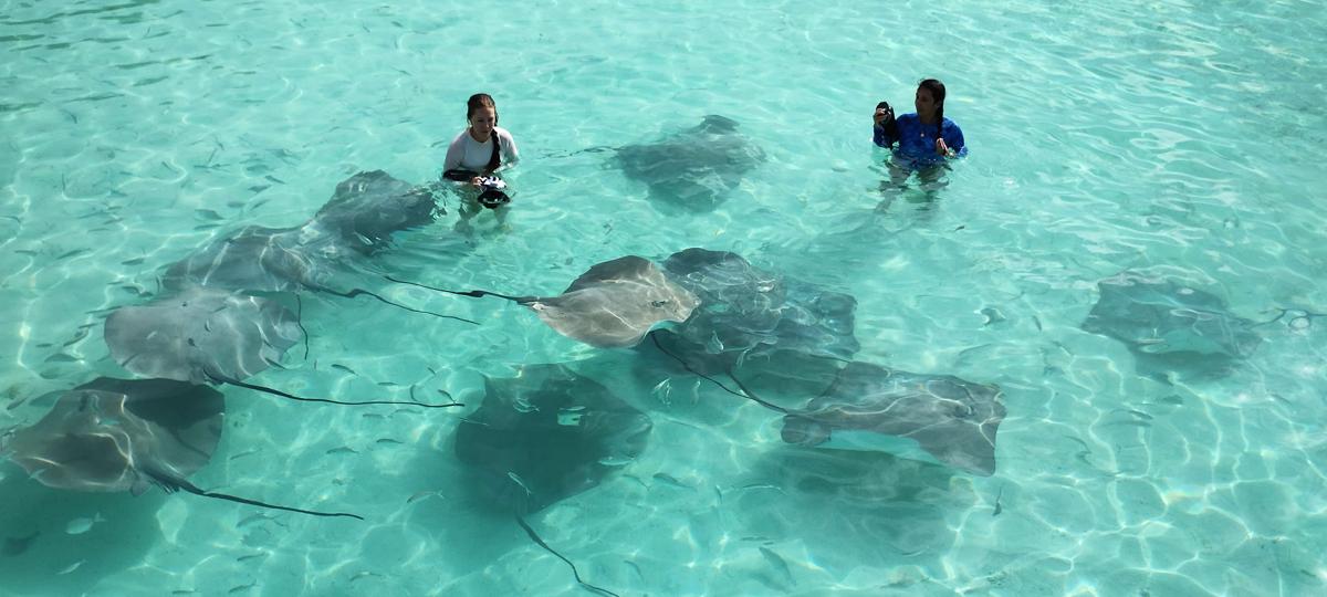 Madi Grand Maldives photo 4