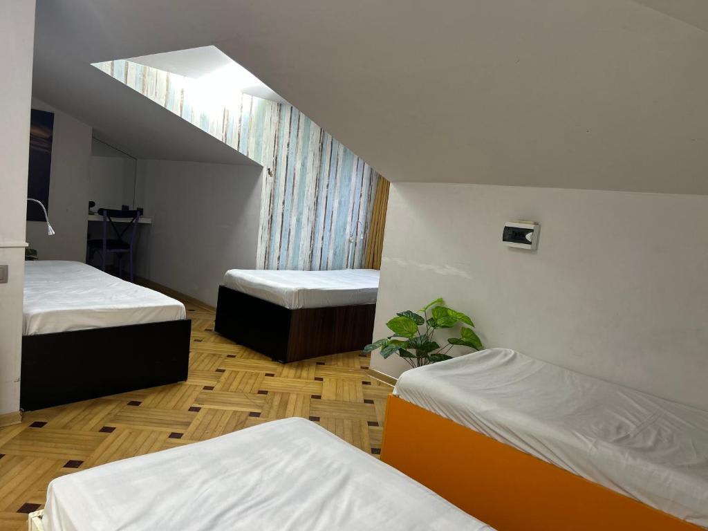 Boutique Hotel & Hostel Medusa photo 4