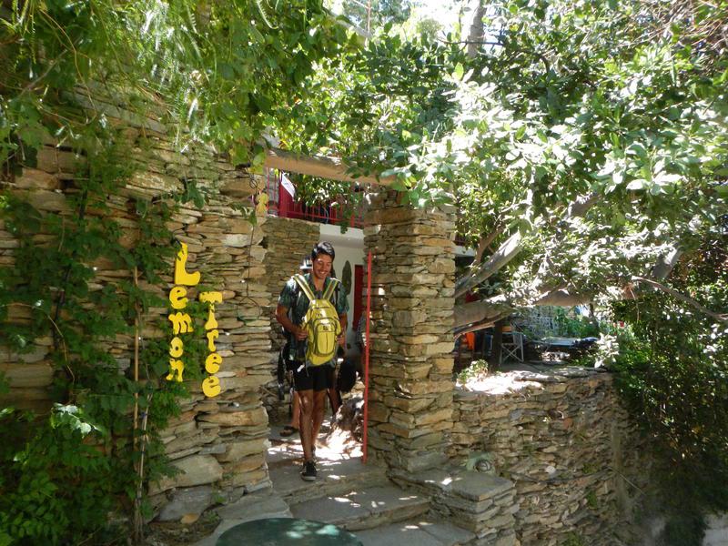 Lemon Tree Hostel photo 2