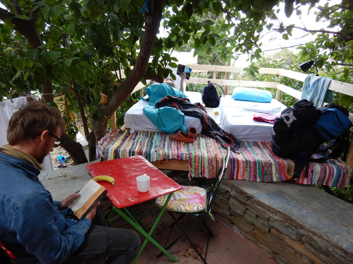 Lemon Tree Hostel photo 4
