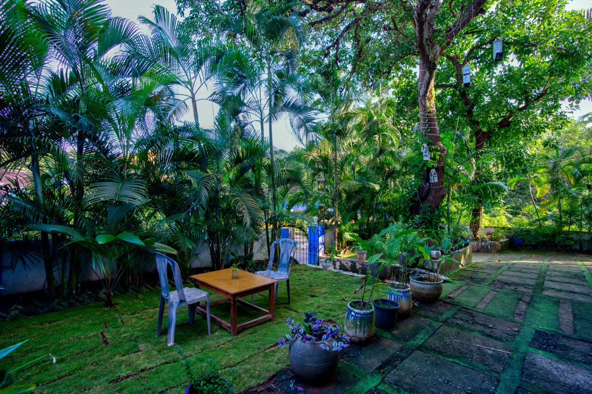 Del Hostel photo 3