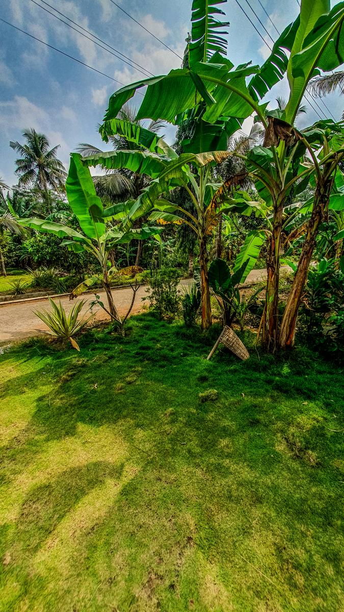 Rumah Gaharu photo 5