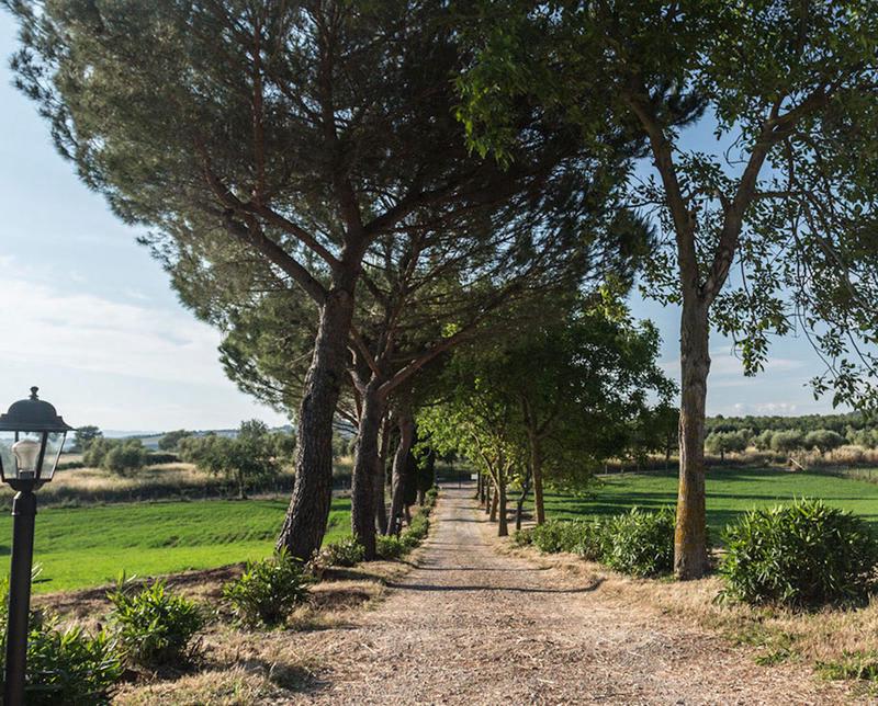 Borgovera B&B photo 2
