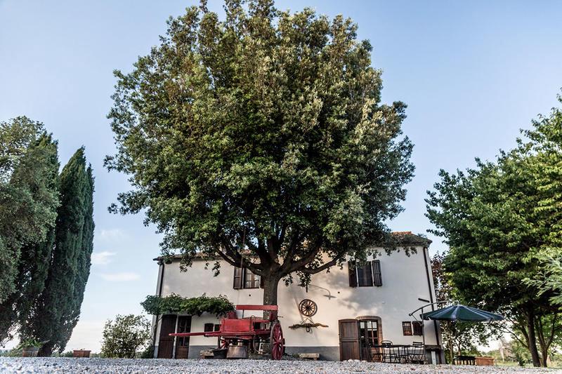 Borgovera B&B photo 6