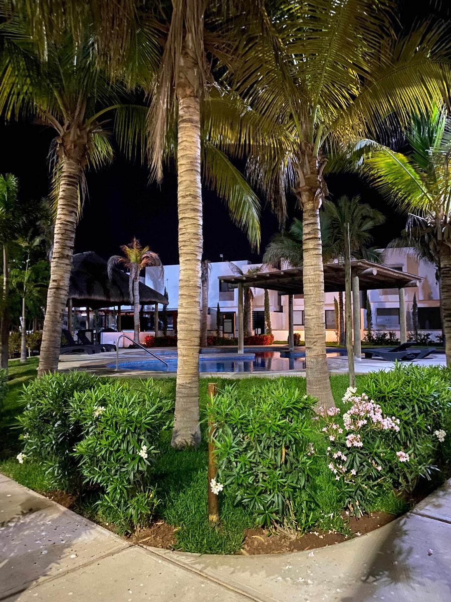 Palmilla Sunscape By GEstores photo 3