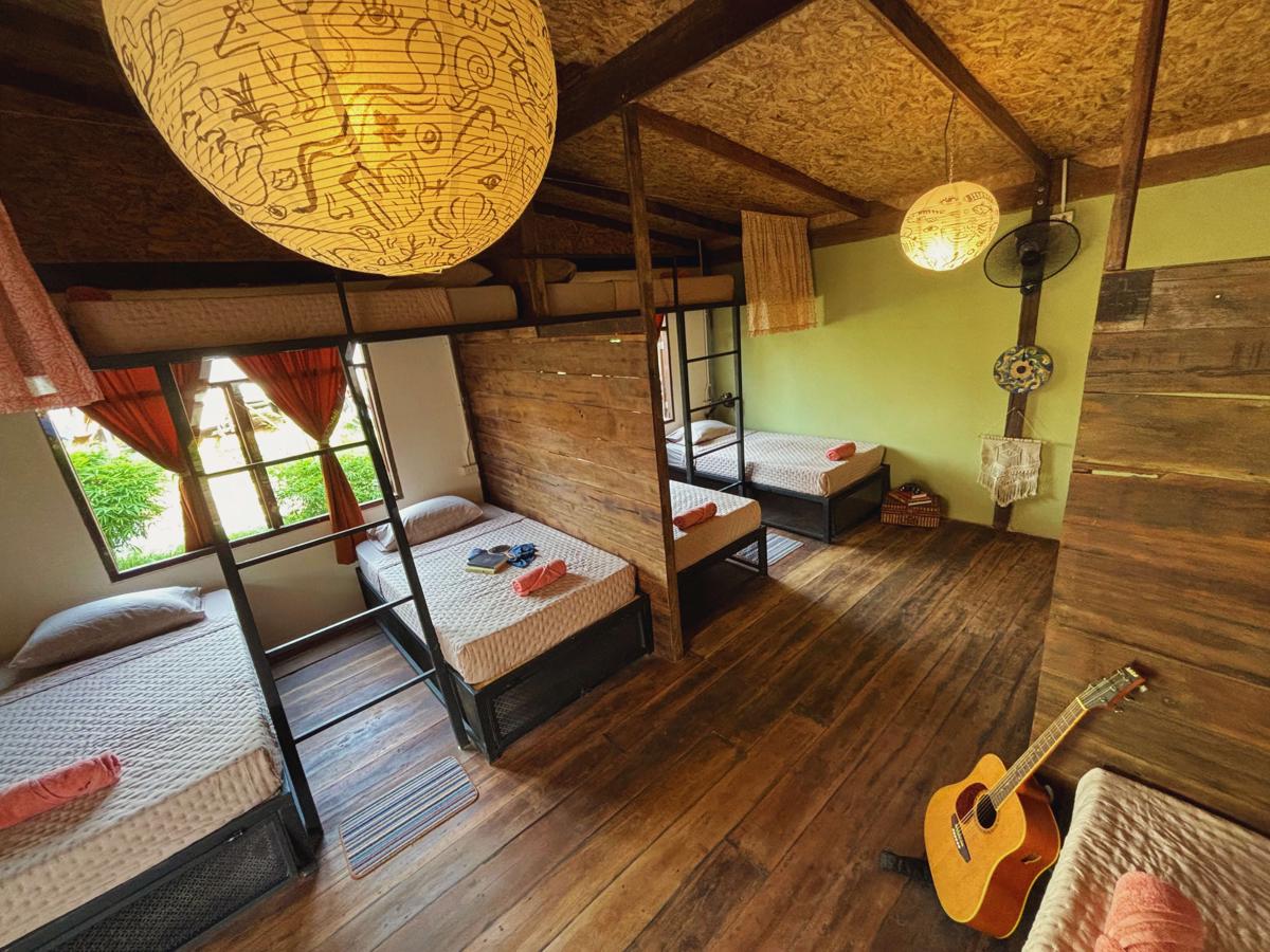 Sanctuary Hostel - Art & Adventure photo 2