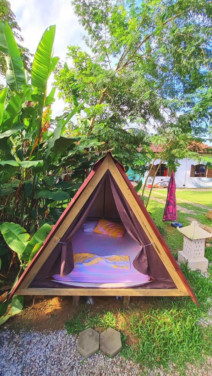 Surf Base Hostel photo 3