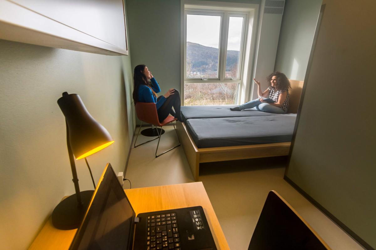 HI Bergen Hostel Montana photo 4