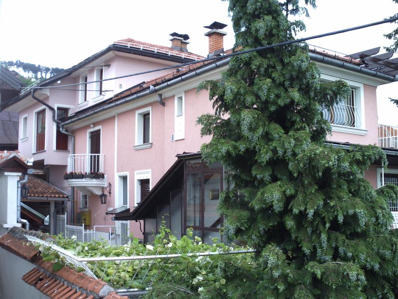 Tower Hostel photo 3