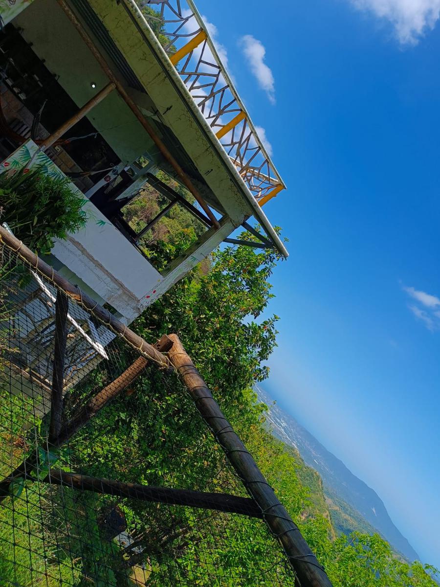 Dunarinka photo 2