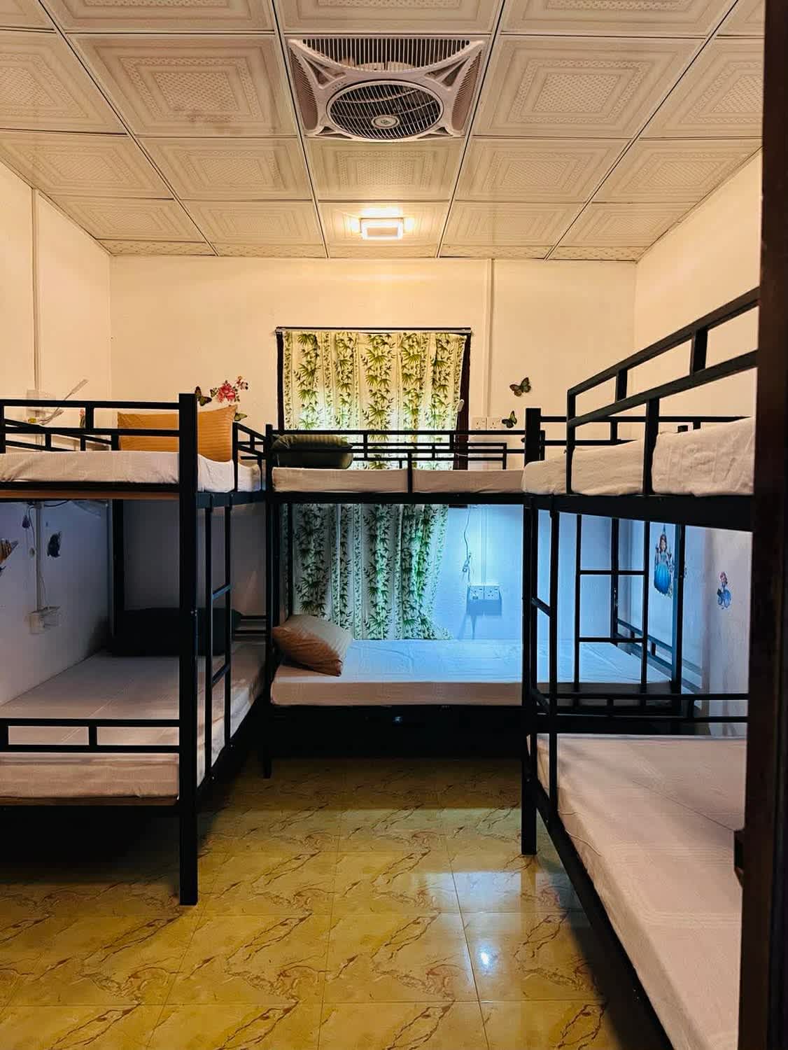 R BackPacker Hostel photo 2