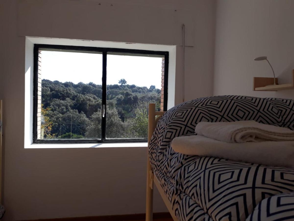 Albergue Alagón Natura photo 3