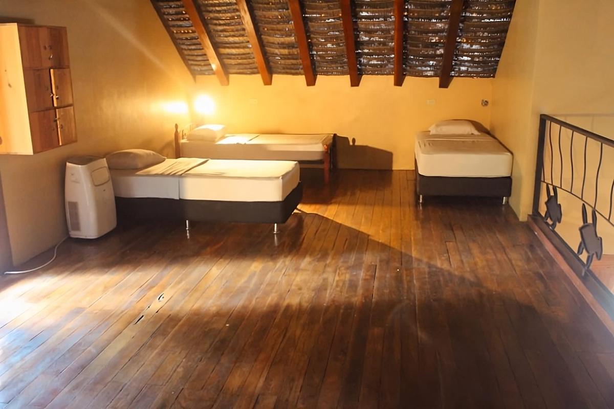 Urbano Pacific Jungle Hostel photo 4