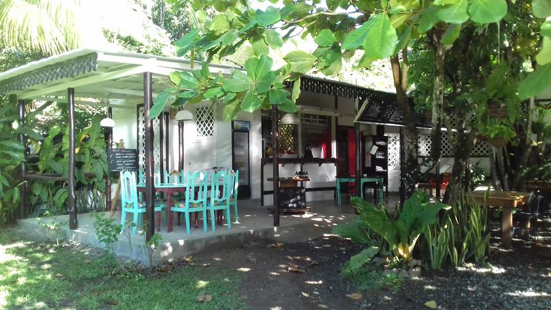 Bajo el Arbol B&B photo 1