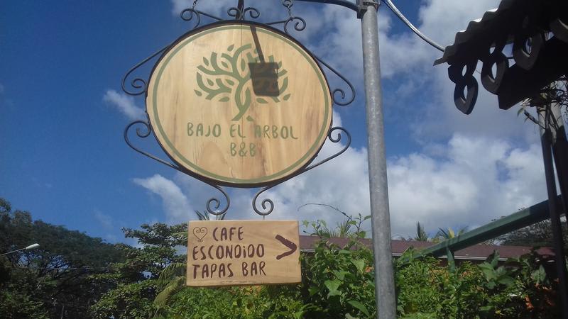 Bajo el Arbol B&B photo 4