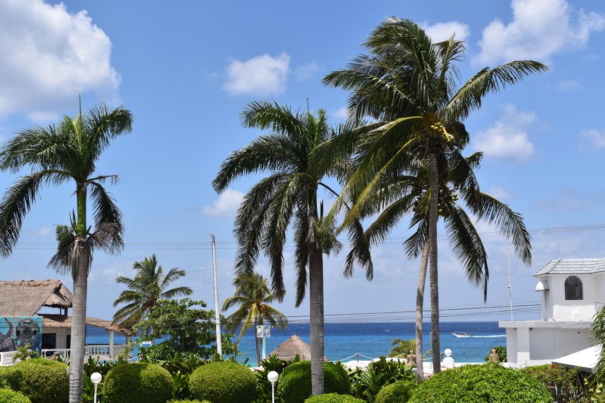 Villablanca Garden Beach photo 1