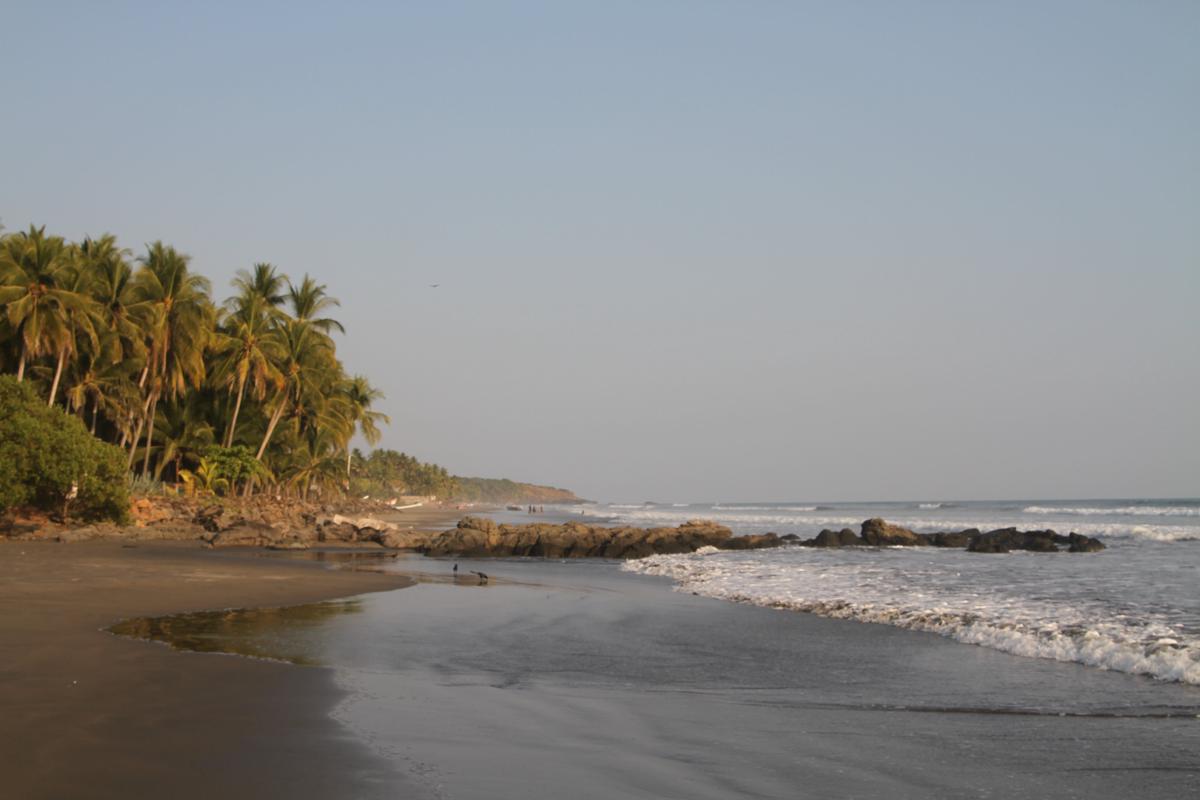 Sugarloaf Beach House & Surf Lodge photo 4
