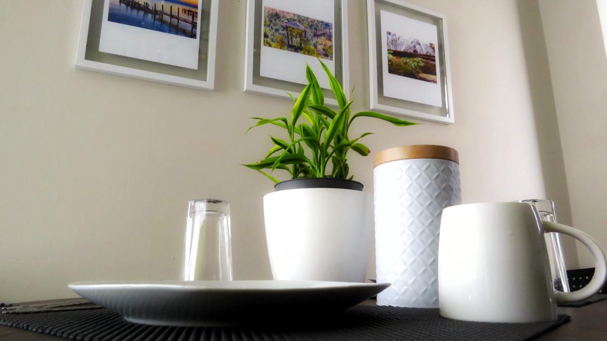 Greenhouse apartamento Vista Hermosa B photo 6