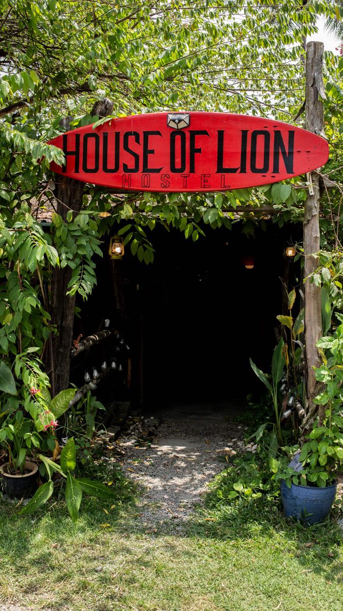 House of Lion Hostel photo 3