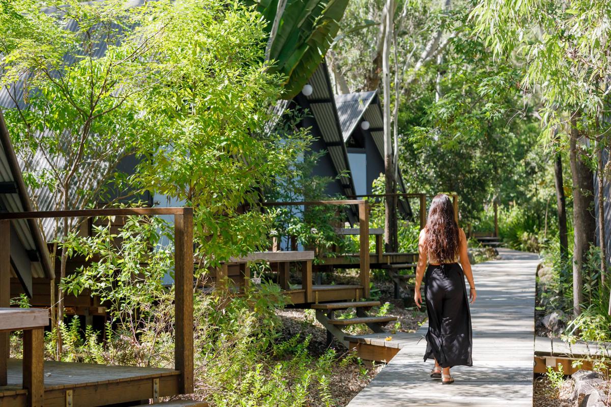 Bounce Magnetic Island and Koala Park photo 3