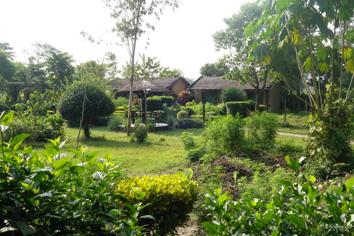 Bardia Riverside View Park Resort photo 3