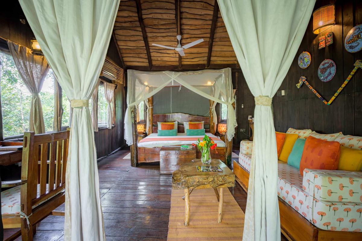 Tree House Hideaway photo 2