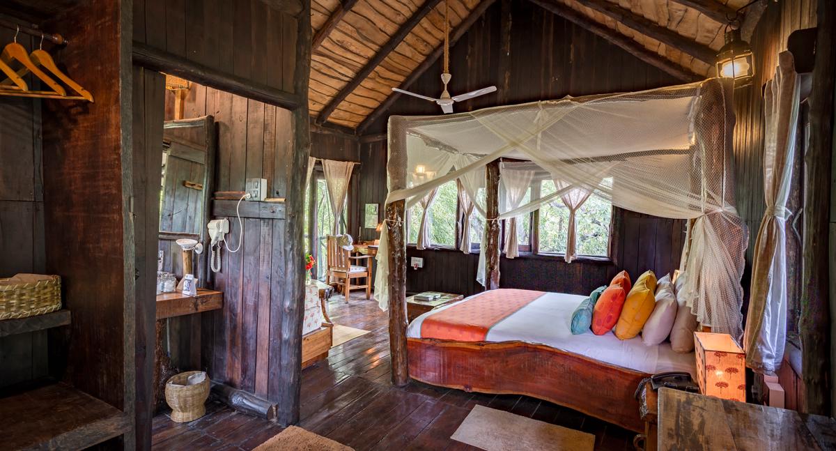 Tree House Hideaway photo 4