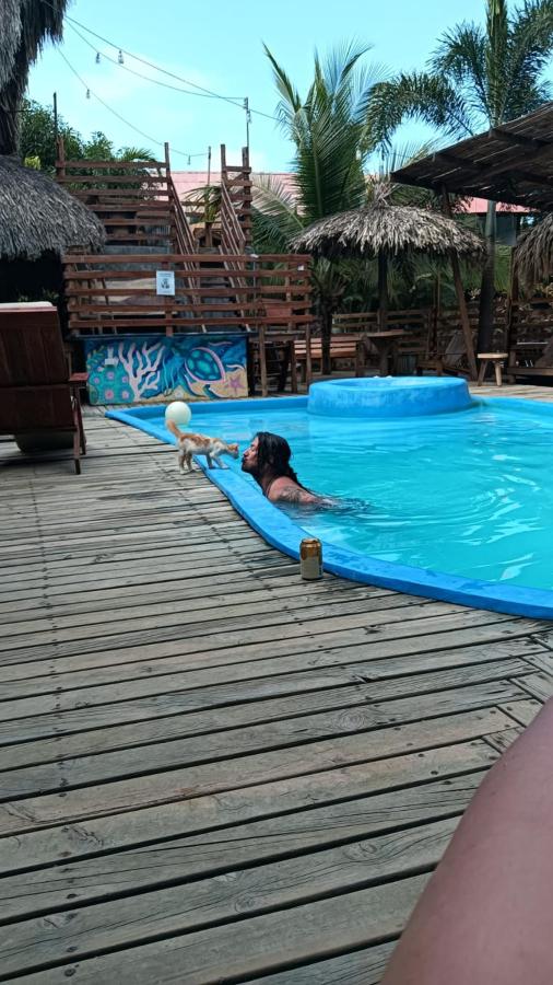 El Zoo Hostel And Pool photo 6