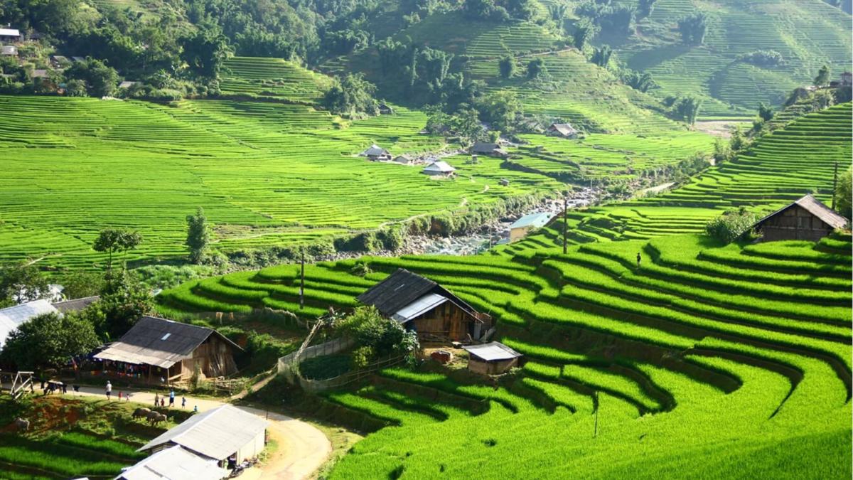 Hmong Sister House and Trekking photo 1