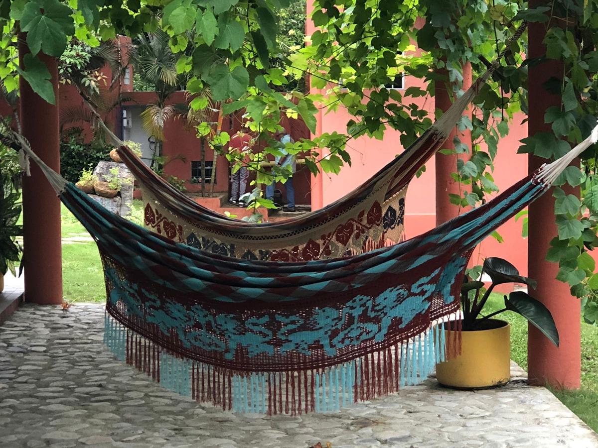 Color Hostel Palomino photo 4