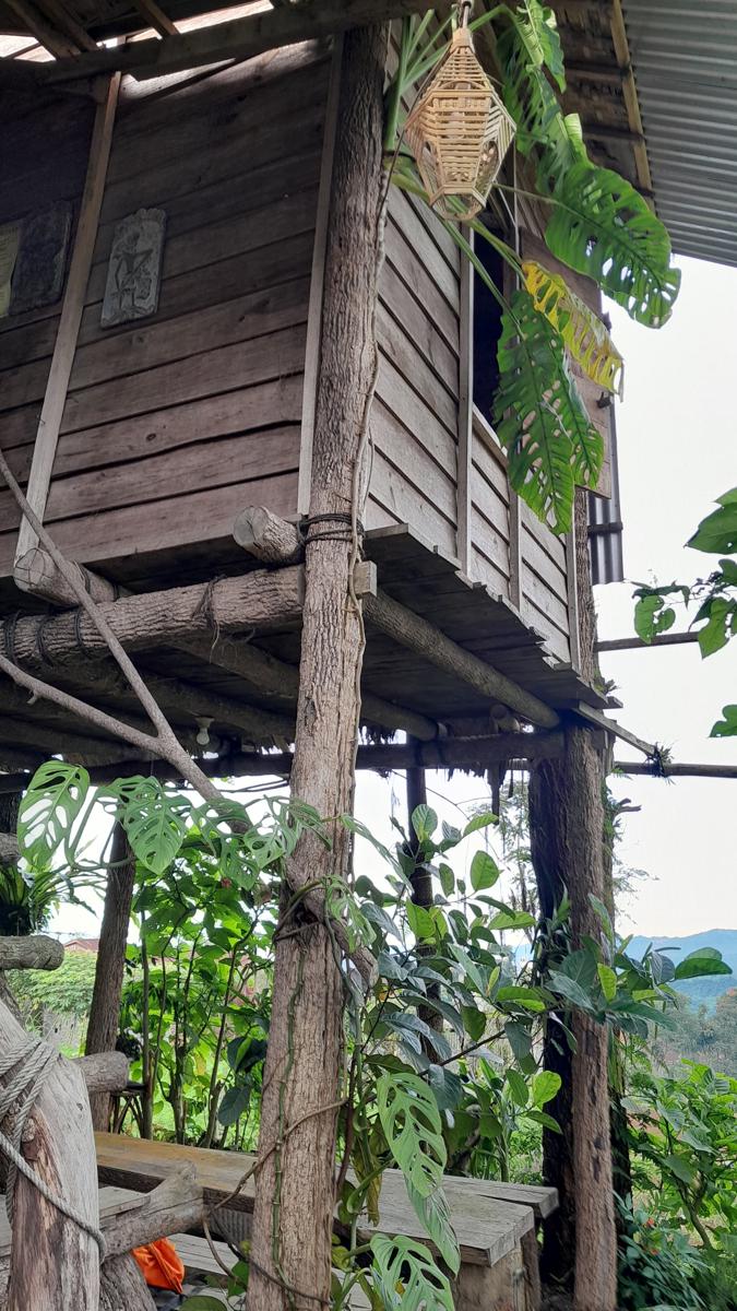 Harumi Dieng Homestay Syariah photo 3