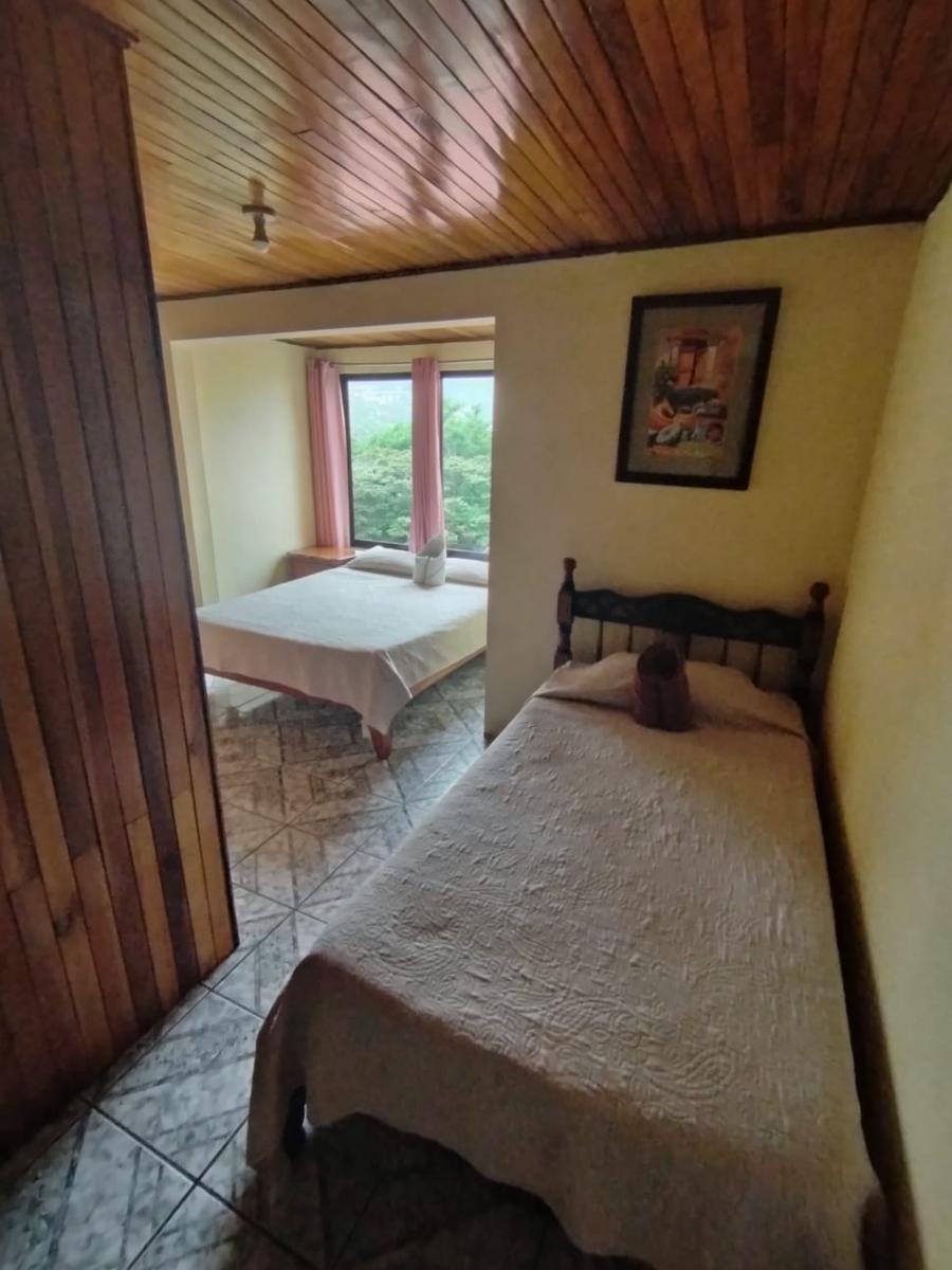 Monteverde Monkey Hostel photo 3