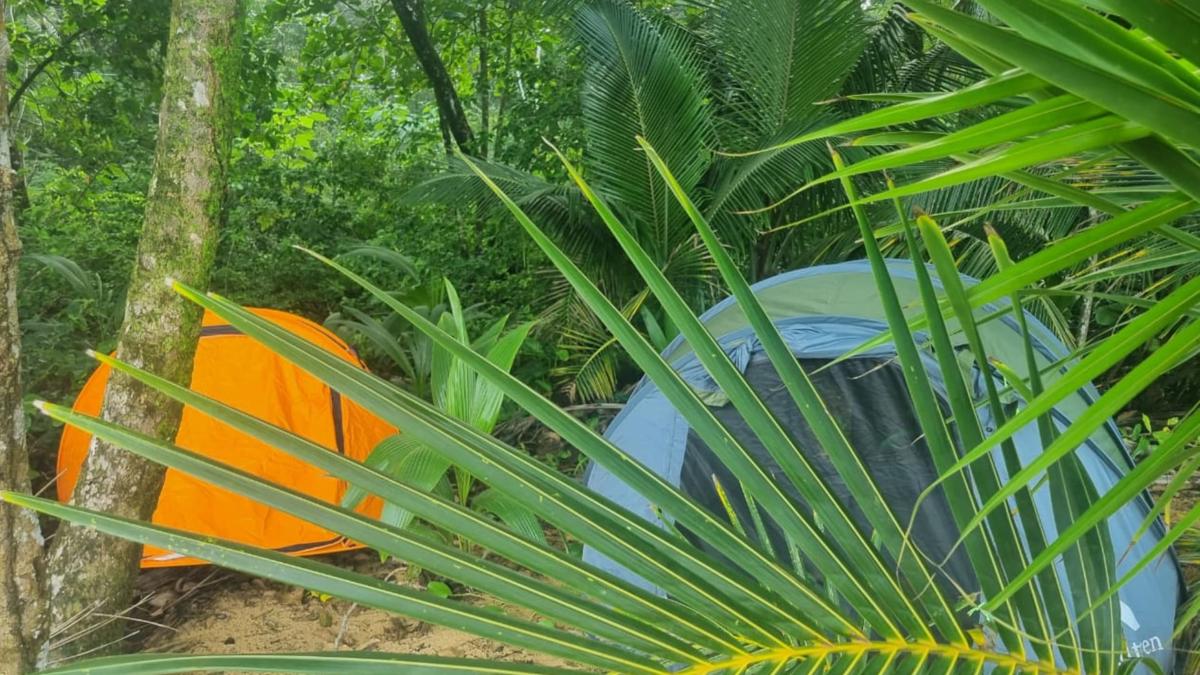 Wild Camping Bike Tour photo 1