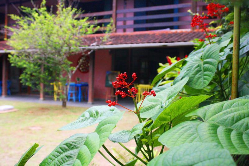 Drifter Hostel photo 3