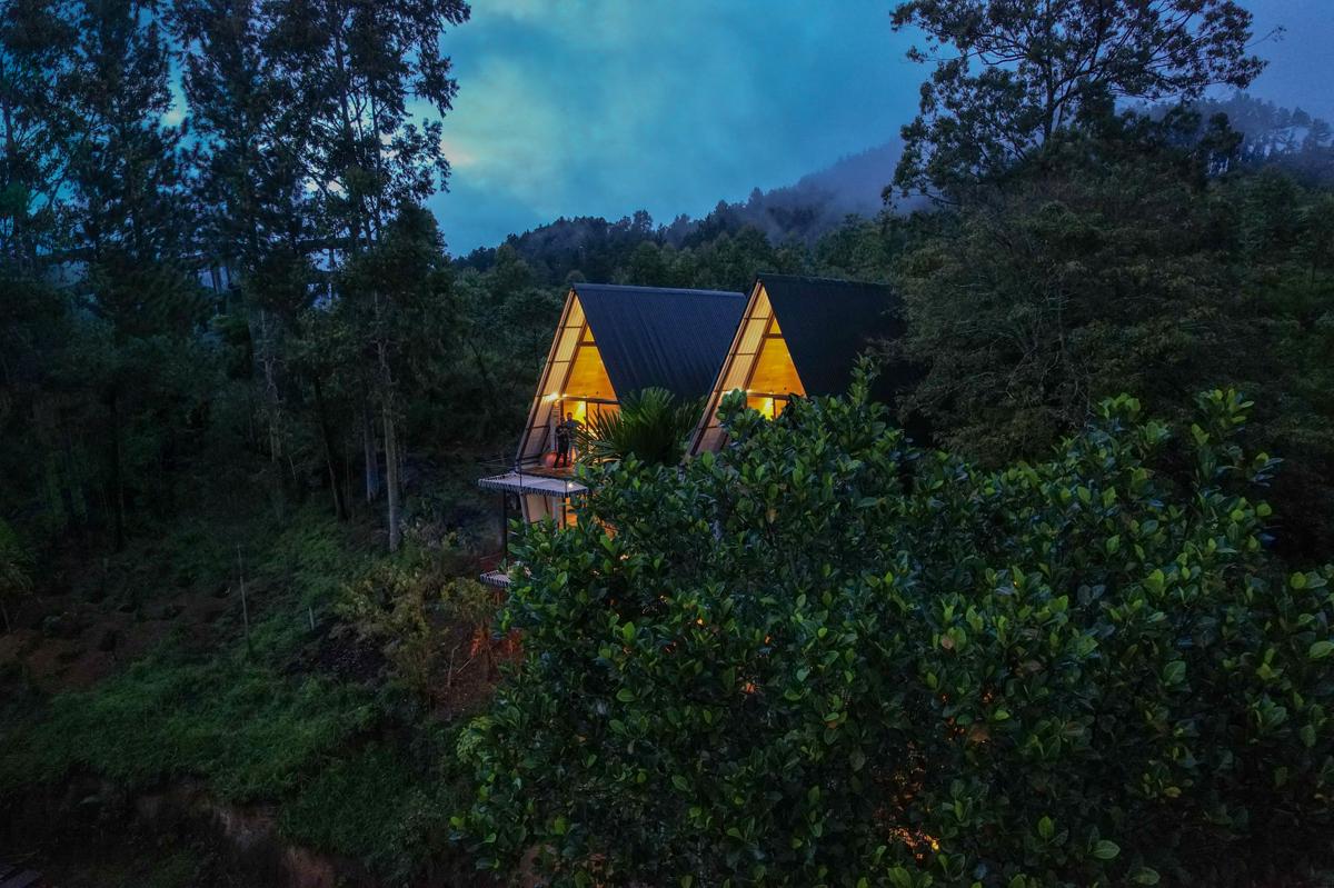 Wild Bee Hostel photo 3
