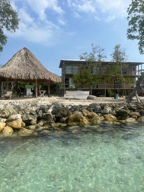Villa Luz Coastal Sanctuary photo 3