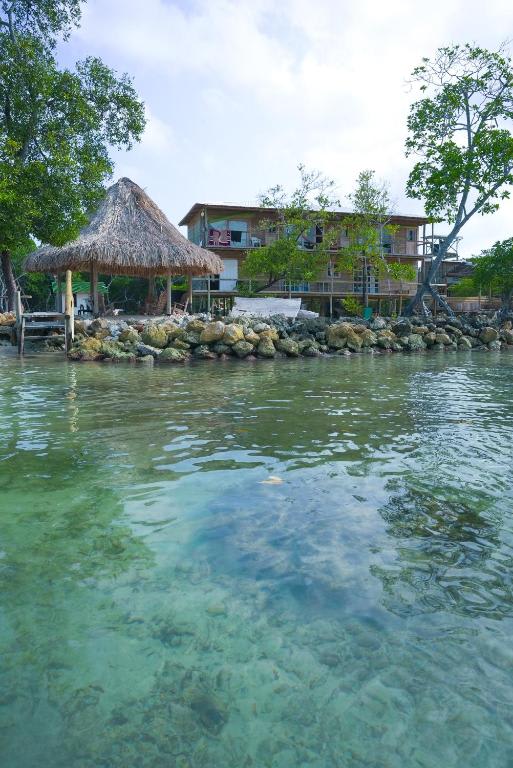 Villa Luz Coastal Sanctuary photo 4