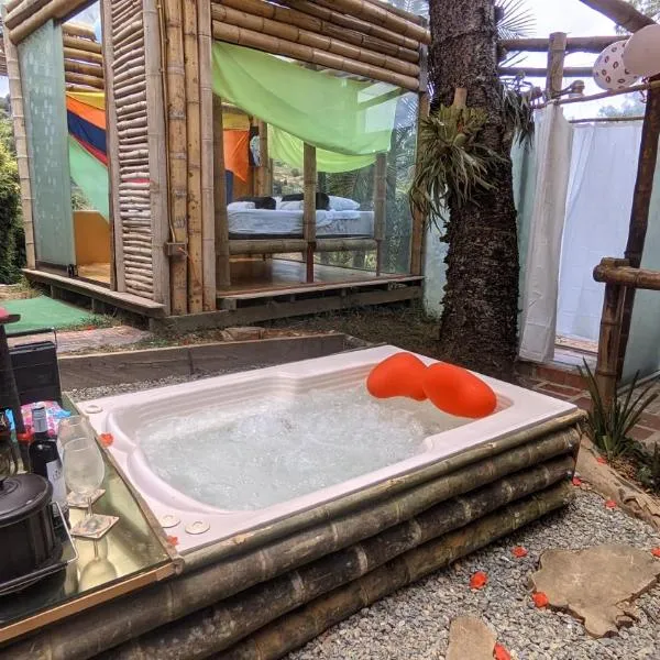 Biohotel Ecohouse photo 5