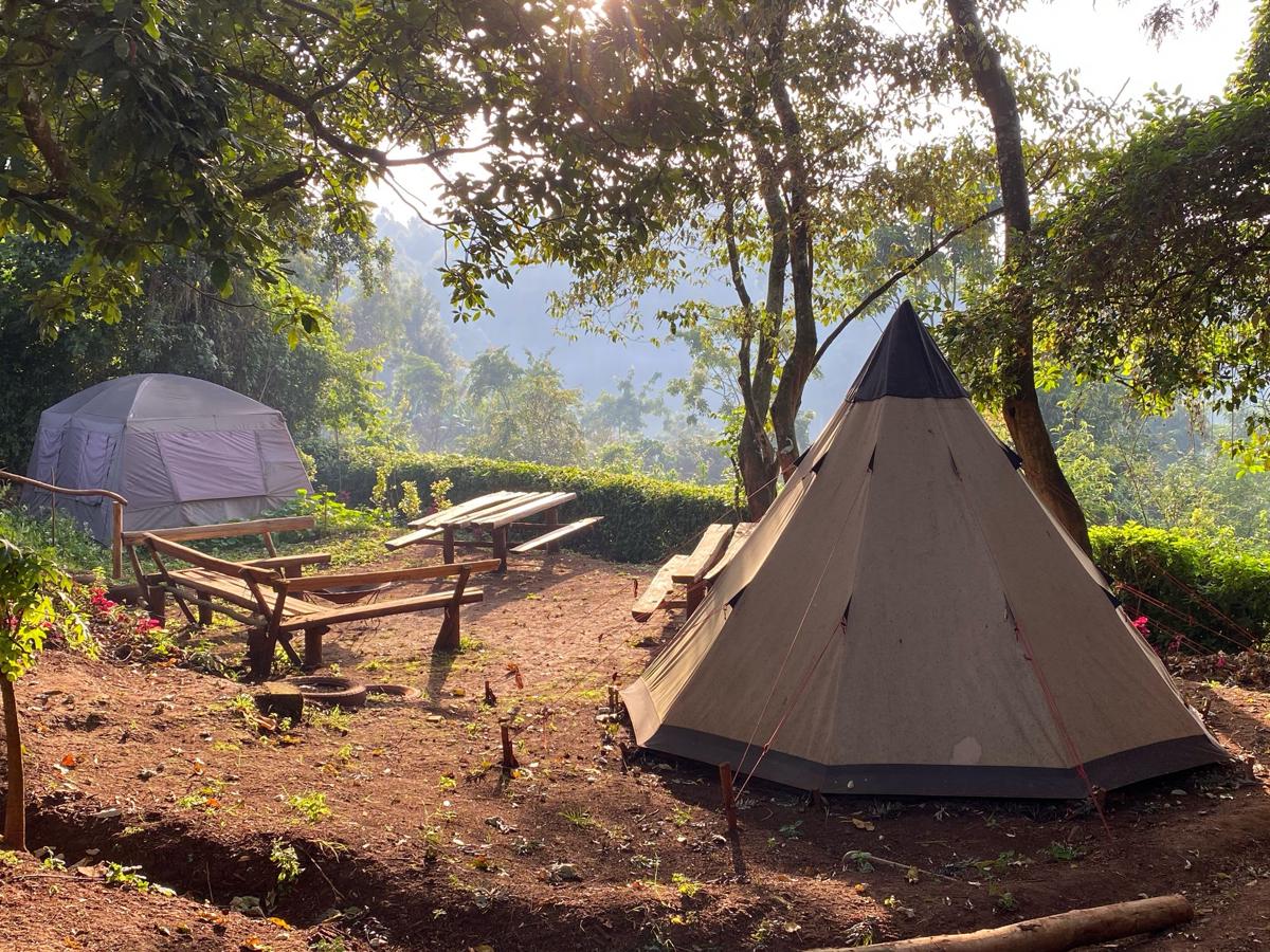 Mlango Farm - All Inclusive – Ngecha Village (Near Nairobi) photo 1