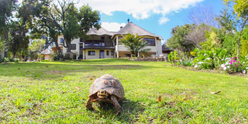 Winelands Villa Guesthouse and Cottages photo 1