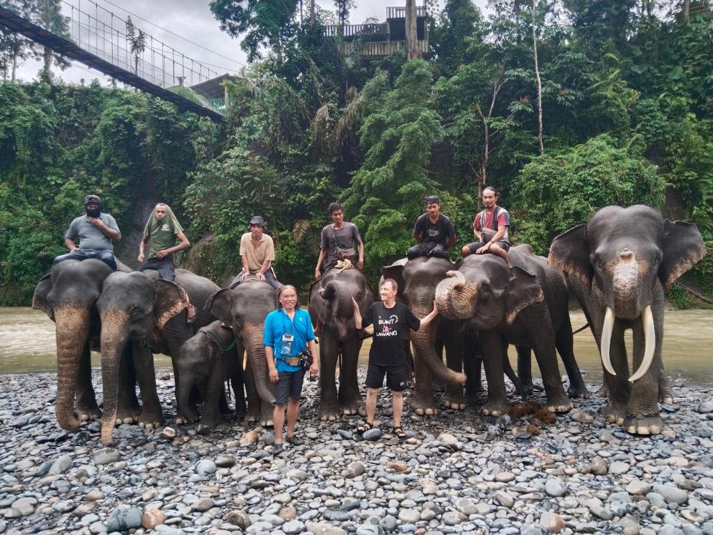 Jhony's Backpacker photo 3