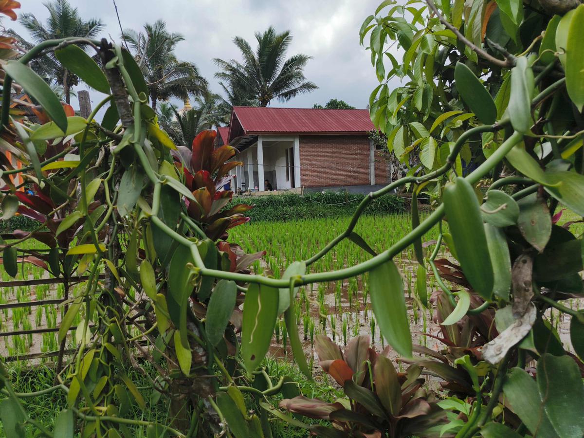 Vaniglia House Tetebatu photo 1