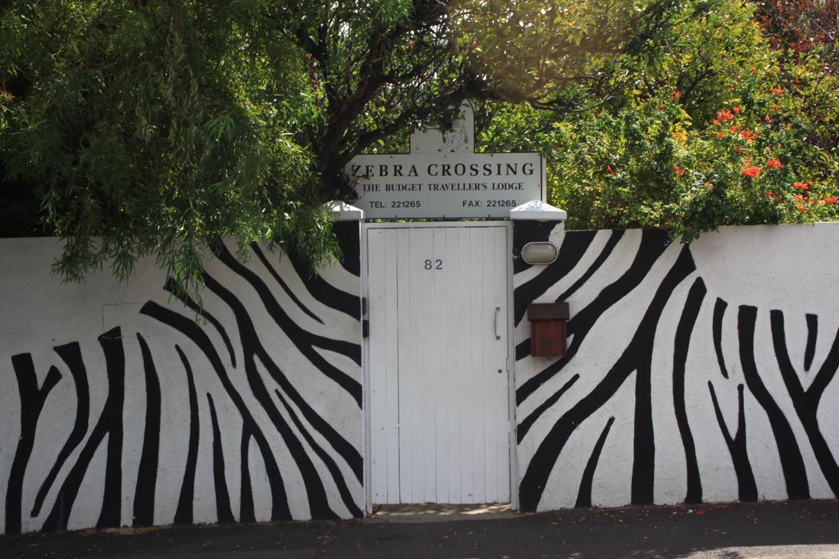 Zebra Crossing photo 4