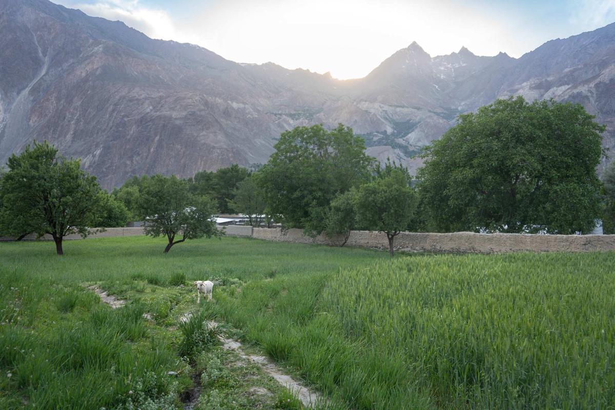 Coyote Den Ishkoman Travelers Hostel photo 4
