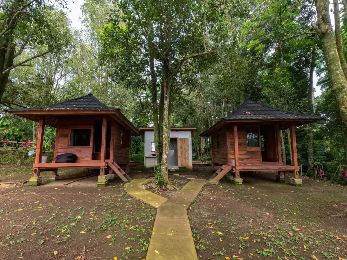 Tetebatu Jungle Vibes photo 2