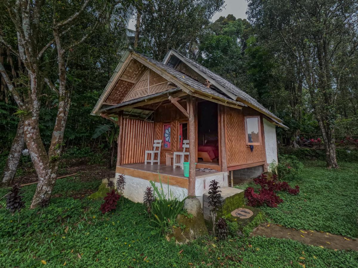 Tetebatu Jungle Vibes photo 4