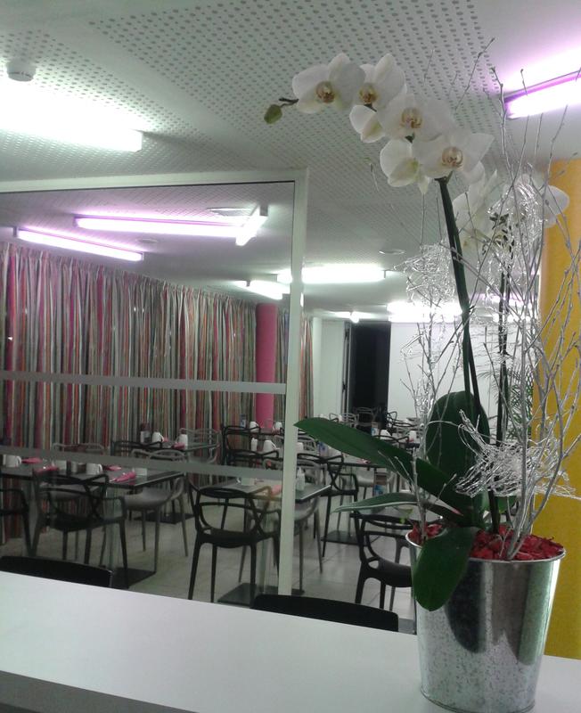 NexHôtel photo 6