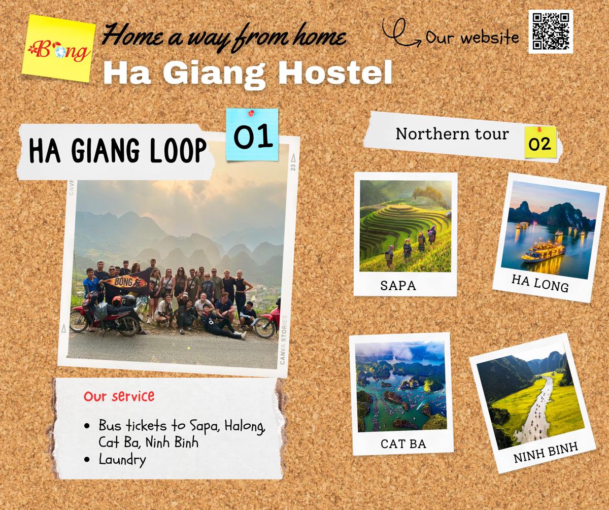 Bong Backpackers & Bikes photo 3