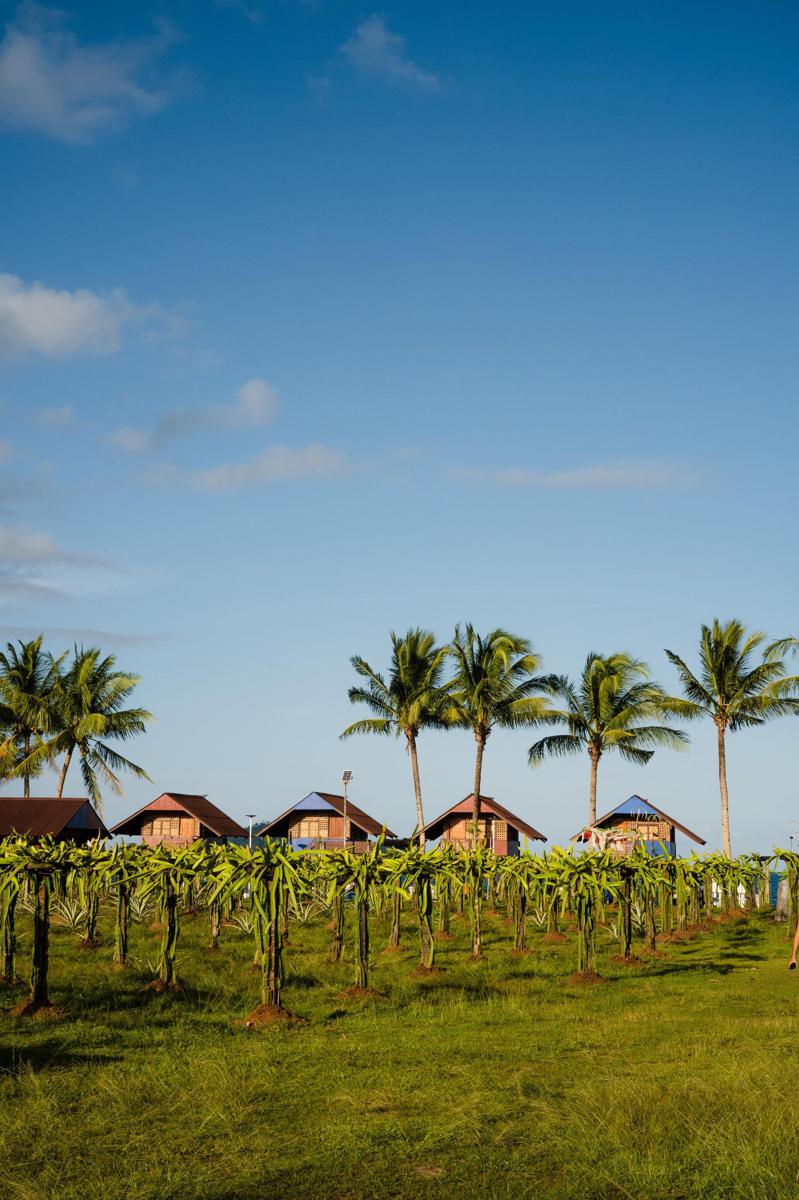 Kalinao Beach Integrated Farm photo 3